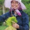 องค์อร พิพัฒธาดา