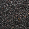 black_rice ข้าวเหนียวก่ำดอย