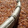 HommaliDeang_Seed ข้าวกล้อง หอมมะลิแดง ออร์แกนิค