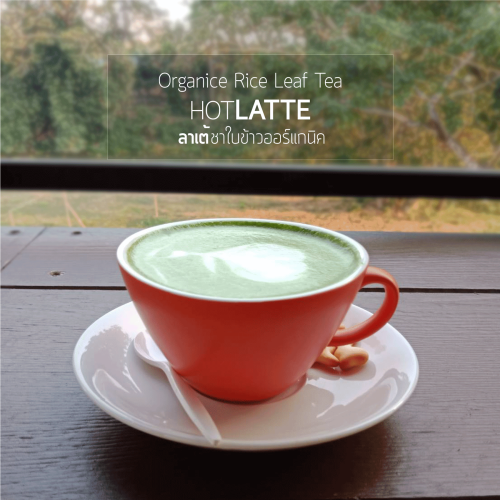 Hot-Latte-with-Headline ชาใบข้าวเหนียวก่ำ ออร์แกนิค 100 กรัม